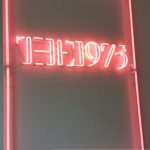 The1975 Neon