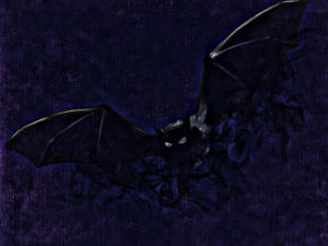 image of bat in flight